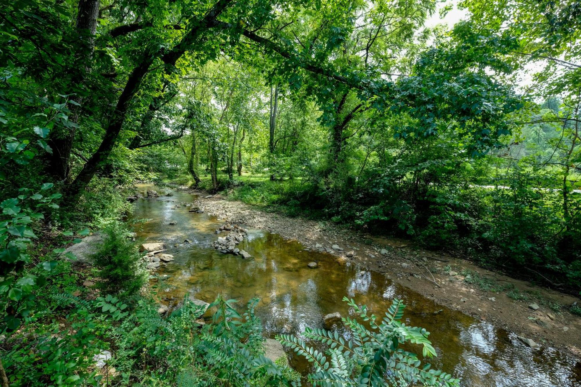 비둘기 포지 Lee'S Creekside 빌라 외부 사진